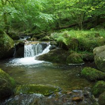 Monte Canales
