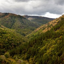 Parque Natural Saja Besaya