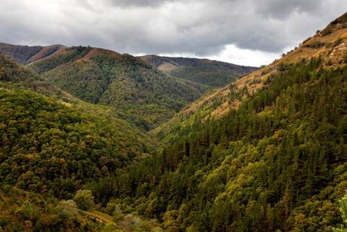 Parque Natural Saja Besaya