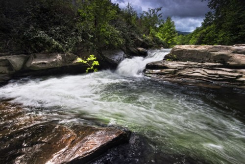 Río Madre / Hoces del Besaya