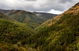 Parque Natural Saja Besaya