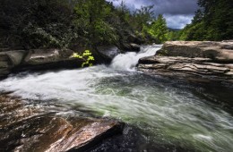 Río Madre / Hoces del Besaya