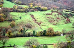 Ruta Montabliz